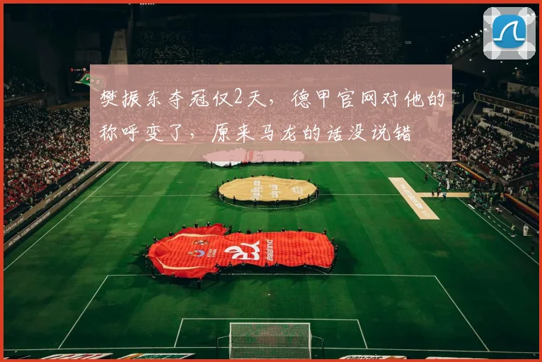 樊振东夺冠仅2天，德甲官网对他的称呼变了，原来马龙的话没说错
