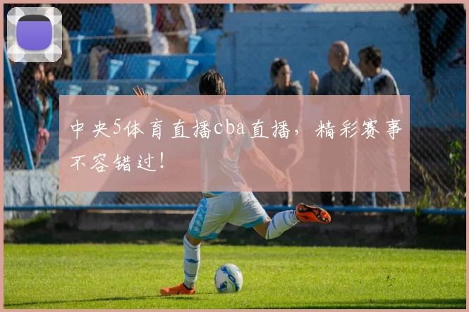 中央5体育直播cba直播，精彩赛事不容错过！