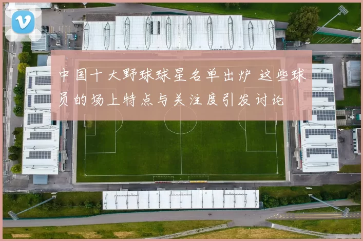 中国十大野球球星名单出炉 这些球员的场上特点与关注度引发讨论