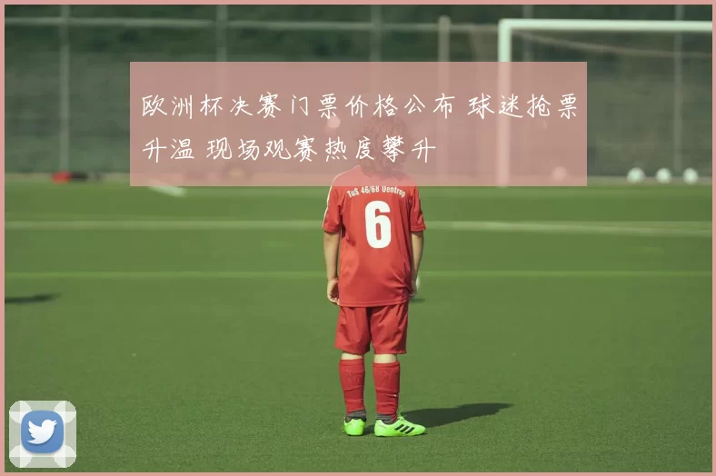 欧洲杯决赛门票价格公布 球迷抢票升温 现场观赛热度攀升