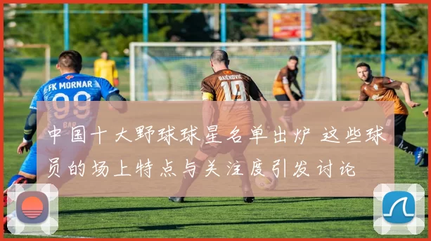 中国十大野球球星名单出炉 这些球员的场上特点与关注度引发讨论