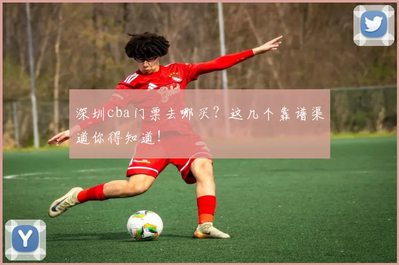 深圳cba门票去哪买?这几个靠谱渠道你得知道!