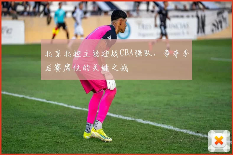 北京北控主场迎战CBA强队，争夺季后赛席位的关键之战